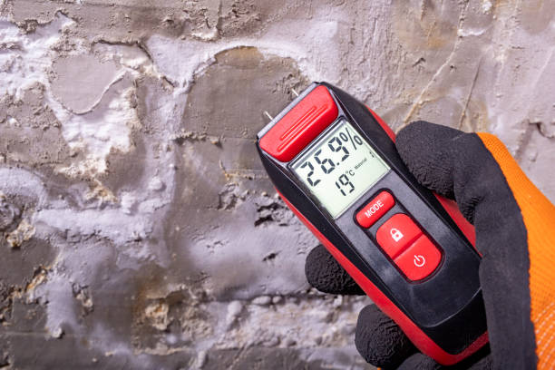 Best Office Mold Removal Services  in North Beach Haven, NJ