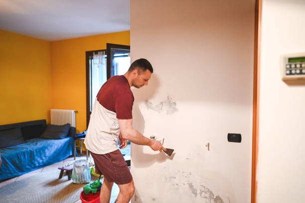 Best Black Mold Removal  in North Beach Haven, NJ